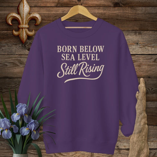 S / Purple Louisiana Born Below Sea Level Sweatshirt by Laissez Faire Wear