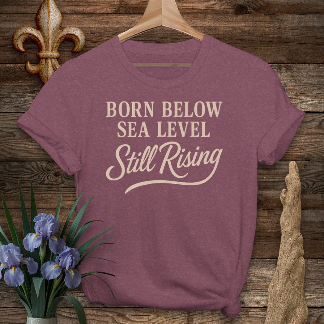 S / Heather Maroon Louisiana Born Below Sea Level T-Shirt by Laissez Faire Wear