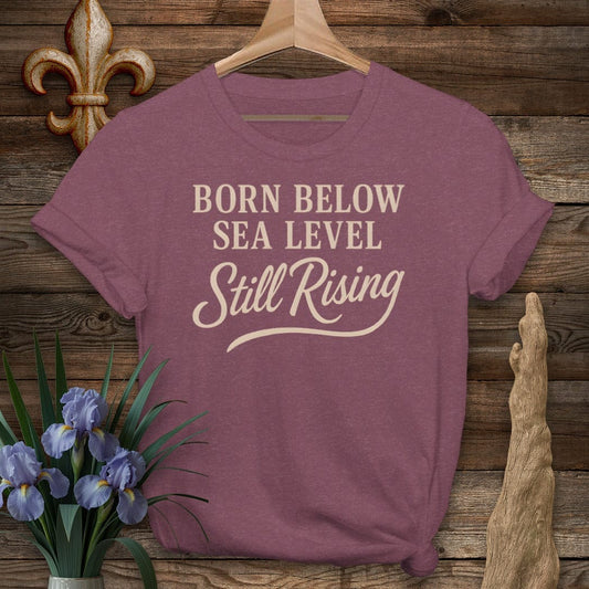 S / Heather Maroon Louisiana Born Below Sea Level T-Shirt by Laissez Faire Wear