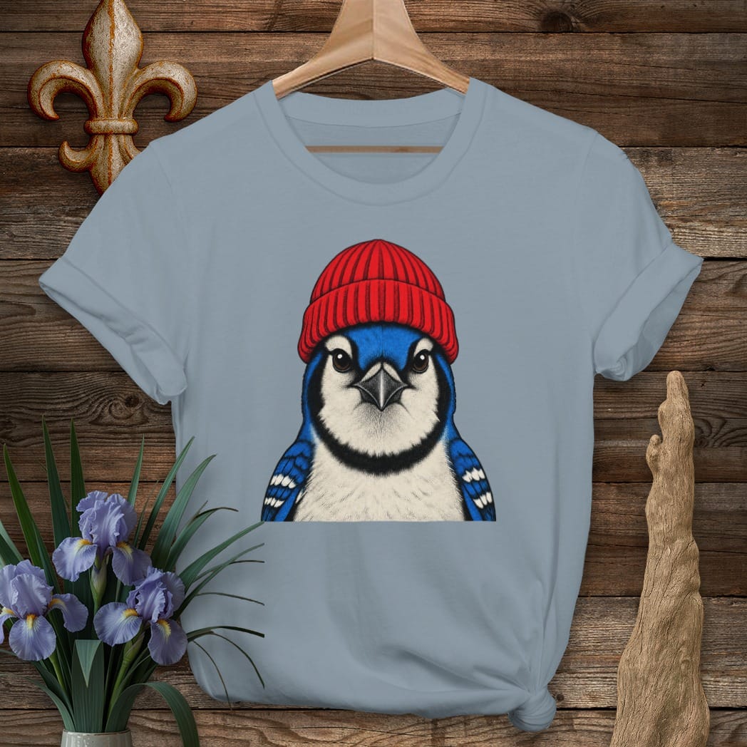 S / Stone Blue Louisiana Didn't Leave Winter T-Shirt by Laissez Faire Wear