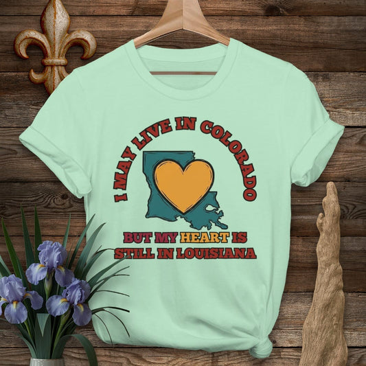 S / Mint Green Louisiana May Live in Colorado T-Shirt by Laissez Faire Wear