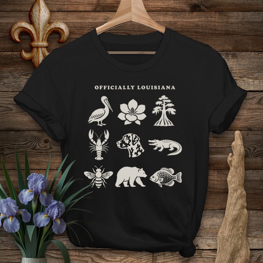 S / Black Louisiana Officially Louisiana T-Shirt by Laissez Faire Wear