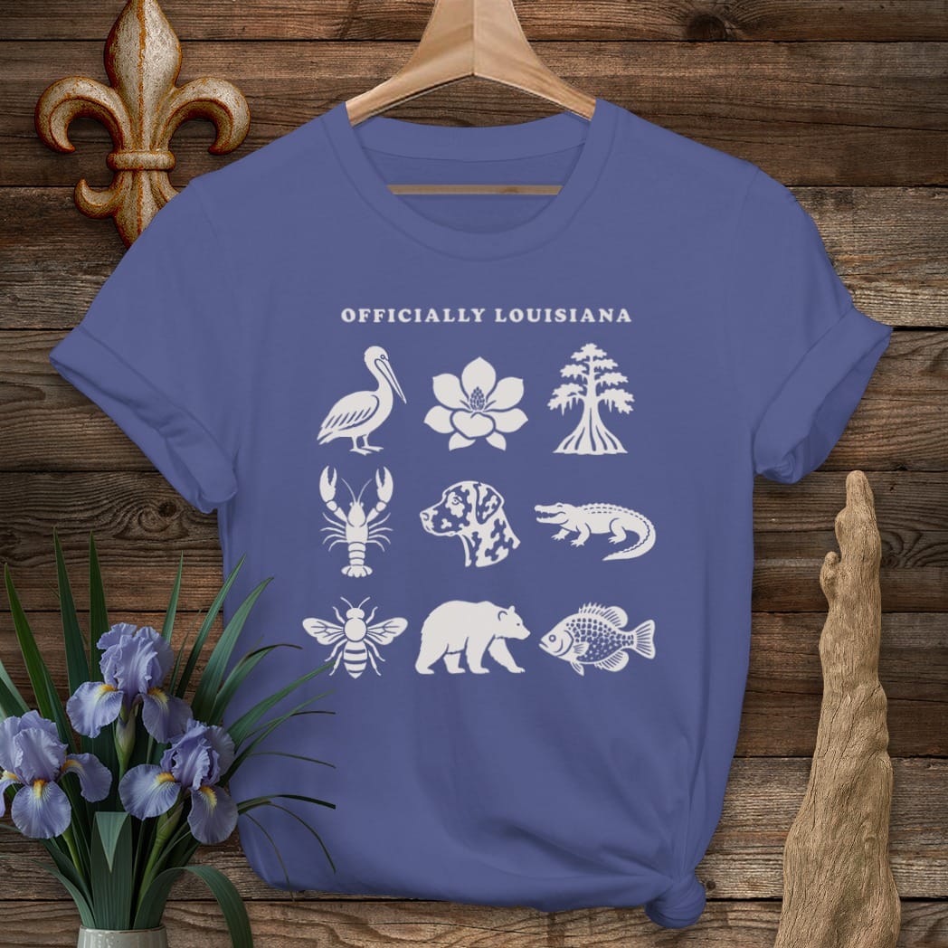 S / Metro Blue Louisiana Officially Louisiana T-Shirt by Laissez Faire Wear