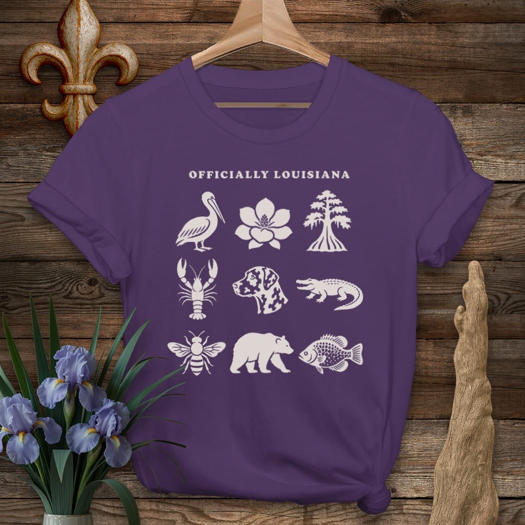 S / Purple Louisiana Officially Louisiana T-Shirt by Laissez Faire Wear