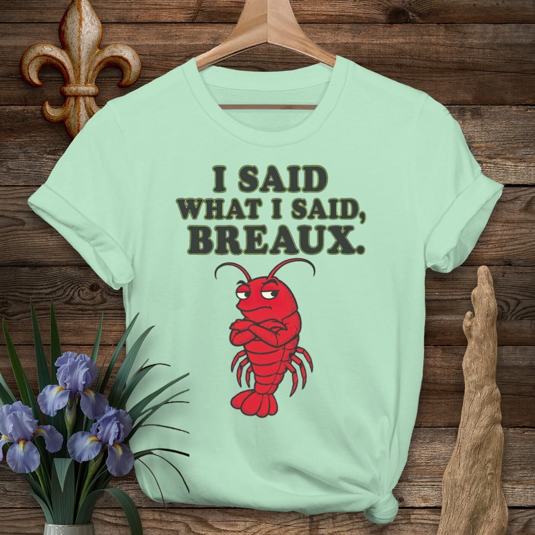 S / Mint Green Louisiana Said What I Said Breaux T-Shirt by Laissez Faire Wear