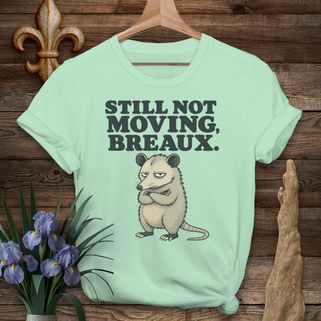 S / Mint Green Louisiana Still Not Moving Breaux T-Shirt by Laissez Faire Wear