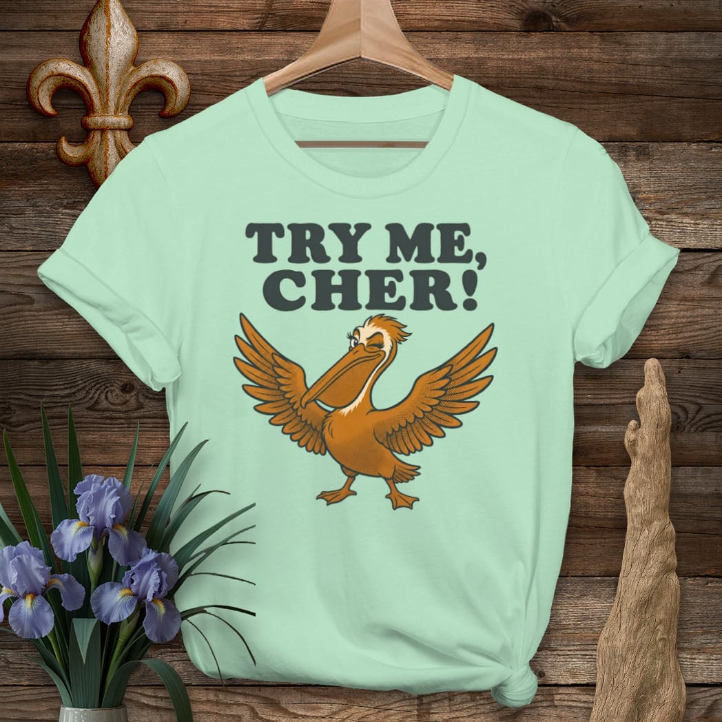 S / Mint Green Louisiana Try Me Cher T-Shirt by Laissez Faire Wear